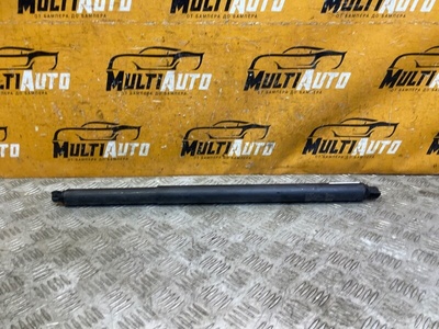 554001235aa Амортизатор багажника Exeed RX 1 2023-