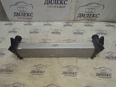 302001149AA интеркулер Exeed RX