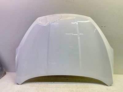 509000879AADYJ капот Chery Tiggo 4 Pro T19 2020-2025