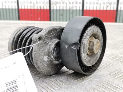 038145283A Натяжитель ремня генератора (приводного поликлинового ремня Volkswagen Passat 6 (2005-2010) 2009 ,038903315P