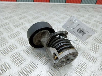 038903315AH Натяжитель ремня генератора (приводного поликлинового ремня Volkswagen Passat 6 (2005-2010) 2009 ,