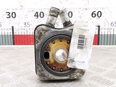 028117021B Теплообменник Seat Alhambra (1996-2010) 2004 ,028117021L