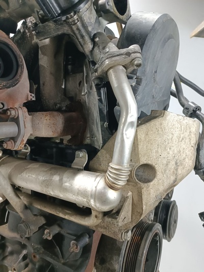 045131513M Охладитель отработанных газов Seat Ibiza 2008