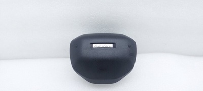 5820110XST01A8P Подушка безопасности в руль Haval Jolion 1 2022