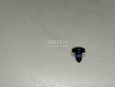 WHT003348 Болт замка двери VAG A6 [C7,4G] (2011 - 2018)