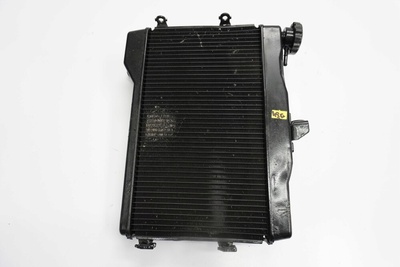 3140953490307424 Yamaha mt - 07 18 - 20 радиатор