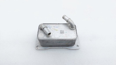 1066029000 Радиатор масляный Geely Tugella FY11 2022 , 5500001224