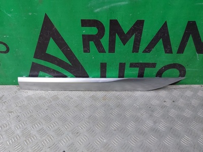 609001527AADQJ накладка молдинга двери EXEED VX M36T 2021-нв , 16V0VL910, 7