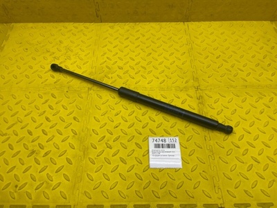 904522228R Амортизатор капота Renault Duster HJD 2021