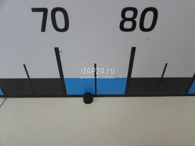 9249989921 Колпачок Nissan Patrol (Y62) 2010