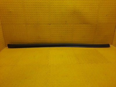 668307391R уплотнительная резинка Renault Duster HJD 2021