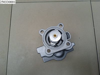 3306022 Термостат Sasic Ducato (+ЕЛАБУГА) 2002-2006 Fiat,Daily 1999-2006 Iveco ,504017209,0504017209,0504013931,504013931,68117048AA,K68117048AA