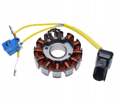 WZMOTO.PL MSCT.13.04.06.2023.4340 статор магнето 12 катушек для piaggio 125 / 250