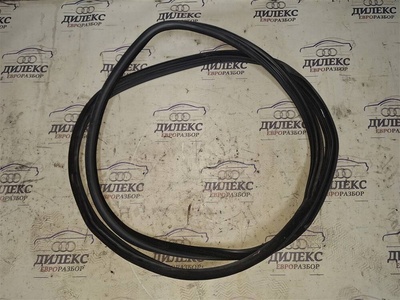 51767333814 уплотнитель двери BMW X5 E70 2007-2013 2007