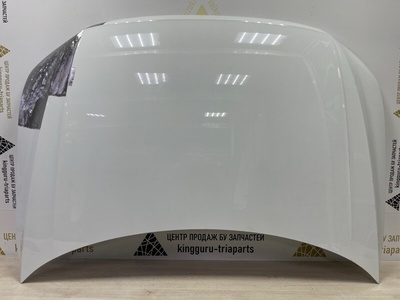 5NA823031L Капот Volkswagen Tiguan 2 AD1 Рестайлинг 2020-2022