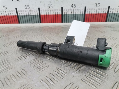 216031219 Катушка зажигания Renault Scenic 2 (2003-2009) 2005 ,7700875000