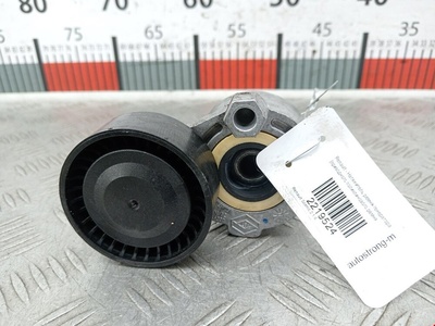 8200048486 Натяжитель ремня генератора (приводного поликлинового ремня Renault Scenic 2 (2003-2009) 2004 ,