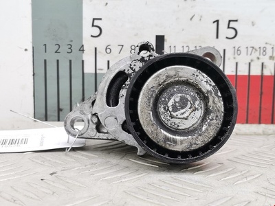 8200603359 Натяжитель ремня генератора (приводного поликлинового ремня Renault Megane 1 (1995-2003) 2001 ,