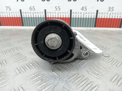 8200603359 Натяжитель ремня генератора (приводного поликлинового ремня Renault Megane 1 (1995-2003) 2003 ,