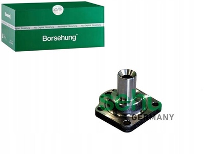 B11291 Borsehung Piasta koła