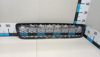 51117163956 Решетка в бампер центральная BMW X5 E70 (2007 - 2013)