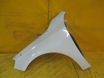 A1768810101 Крыло переднее на Mercedes-Benz A-Clas Mercedes-benz