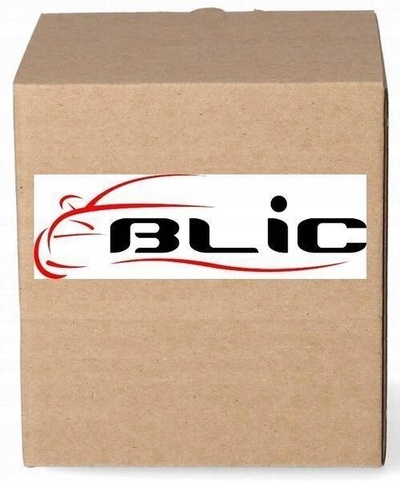 BLIC LUSTERKO ZEWNĘTRZNE 5402 - 04 - 1121545P