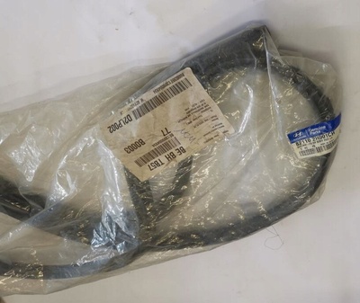 821102H001CH hyundai купе 96 - 02r уплотнитель с двери левая