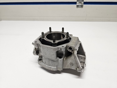 Cylinderpolinirx125 aprilia rs 125 rotax цилиндр polini