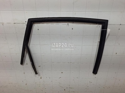 7701475619 Уплотнитель стекла двери Renault Scenic II (2003 - 2009)
