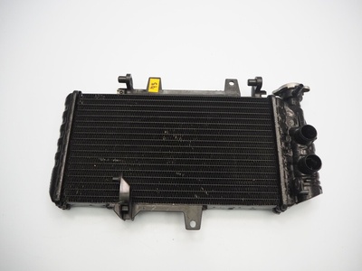 4166741693562696 bmw f 800 st 06 - 13 радиатор