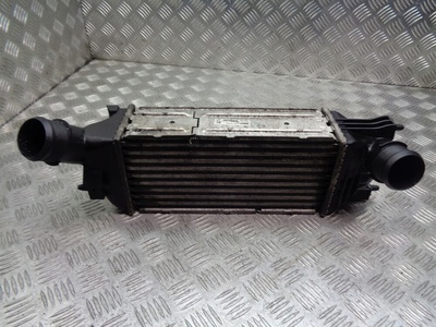 874823NJ INTERCOOLER PEUGEOT 407 SW