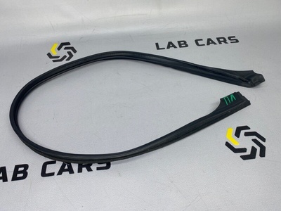 51217057507 Уплотнитель двери BMW 5 E60