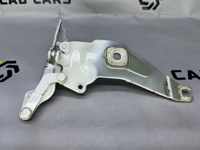 41007208628 Петля капота BMW X6 E71 2012 , 41007198618, 41617208630