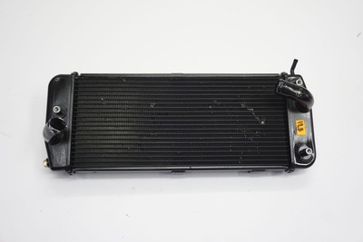 390668783341824 Ducati multistrada v4 s 21 - радиатор левая