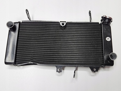 OE1771018K00000 Радиатор suzuki sv 650 x sv650 2016 - 2024