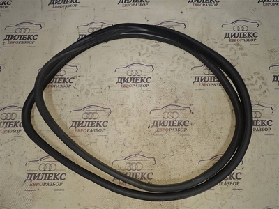 51767220381 уплотнитель двери BMW X5 E70 2007-2013 2007