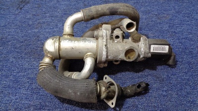 55204941 fiat oe