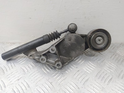 038903315C Механизм натяжения ремня, цепи Skoda Octavia A4 (1996-2010) 1998
