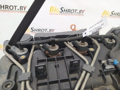 0445110259 Форсунка Citroen C4 Picasso 2007