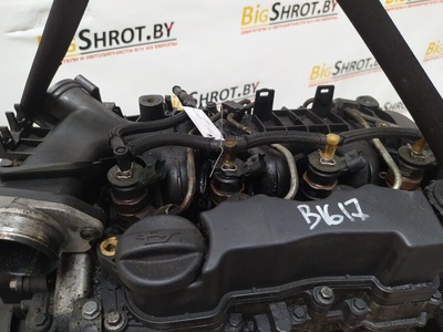 0445110297 Форсунка Citroen C4 Picasso 2009