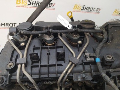 0445110259 Форсунка Citroen C4 Picasso 2006