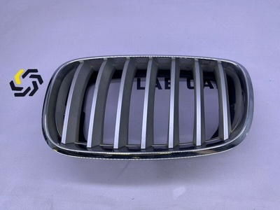 51137171395 Решетка радиатора BMW X6 E71 2010 , 51137185223
