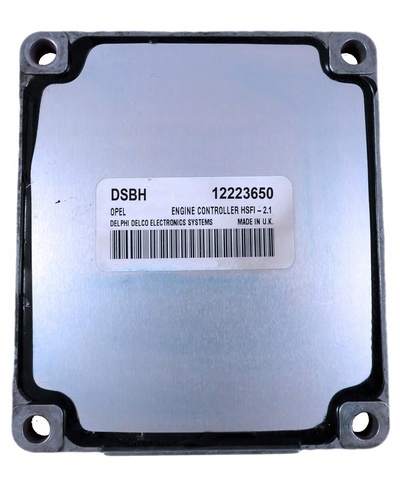 12223650 DSBH Delphi