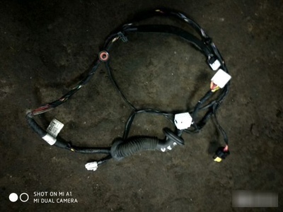 916504L021 Проводка двери Hyundai Solaris