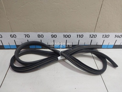 769230024R Уплотнитель двери Renault Duster 2012