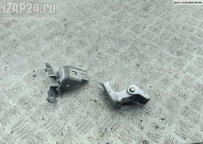 4200003RK Петля двери задней правой Renault Kaptur 2016