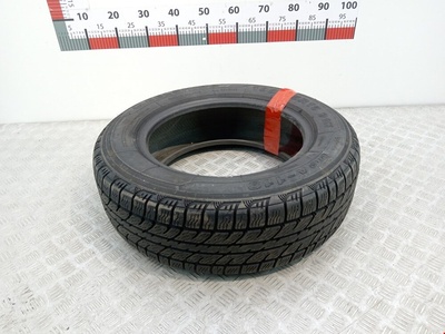 65R15 Шины Не имеет значения Не имеет значения (2000-2024) 195/,195/