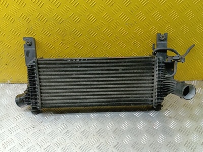 144615X00A Интеркулер Nissan Pathfinder (R51M) 2004-2013 Внедорожник 2010