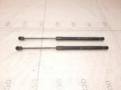 96830124 Амортизатор капота (к-кт) Chevrolet Captiva C100 2006-2010
Комплект 2шт.